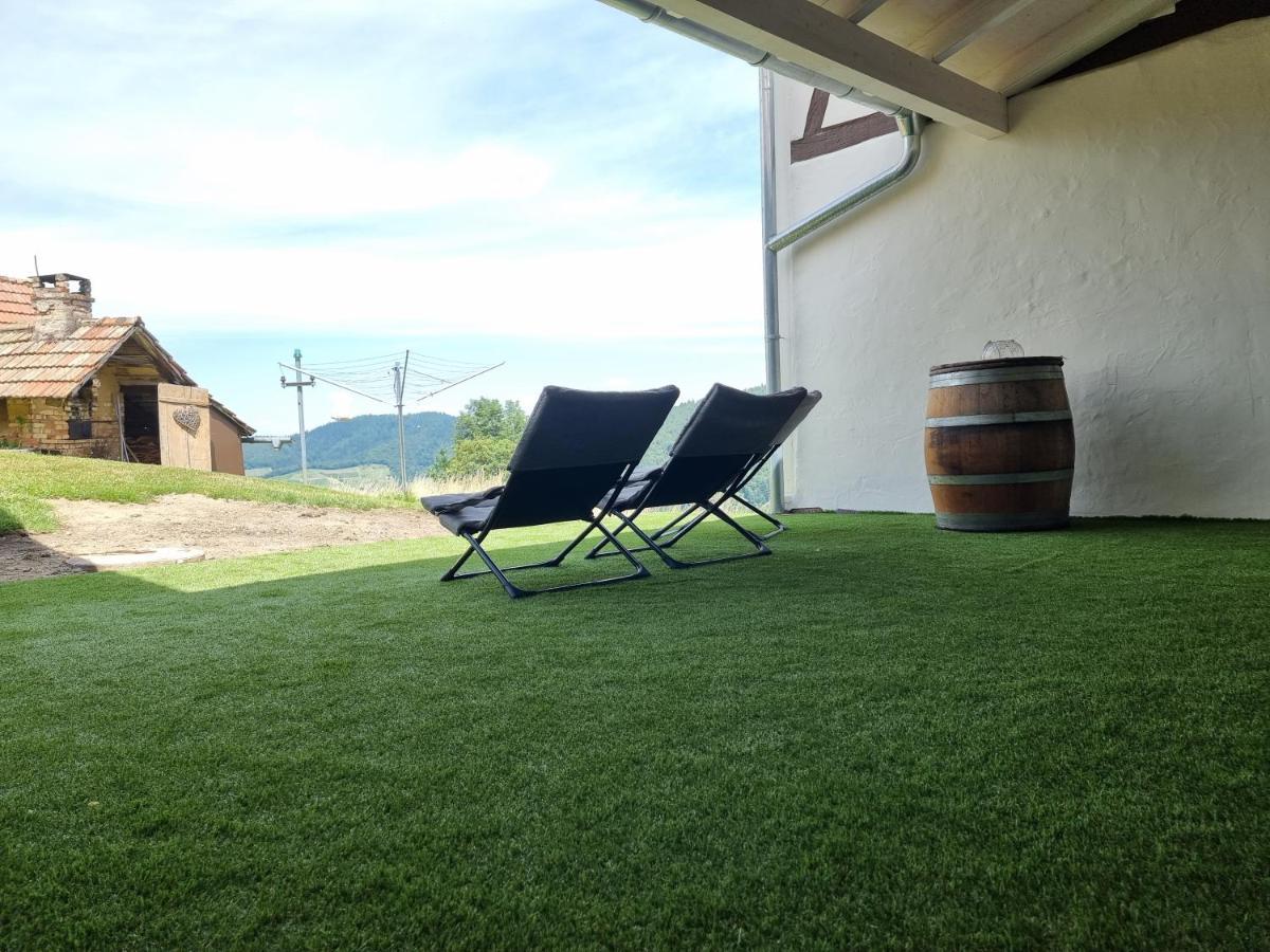 Haus Am Berg Mit Wellnessbereich, Bar Und Panorama Villa Buhlertal Exterior photo