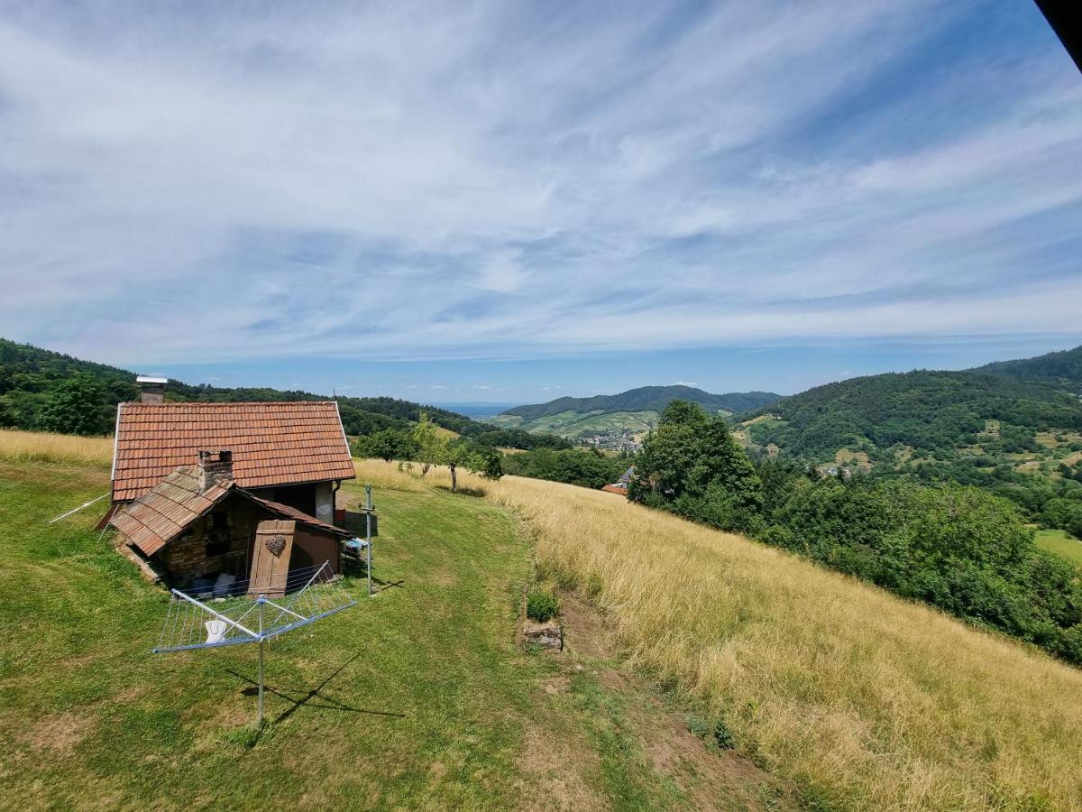Haus Am Berg Mit Wellnessbereich, Bar Und Panorama Villa Buhlertal Exterior photo